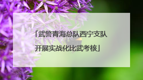 武警青海总队西宁支队开展实战化比武考核