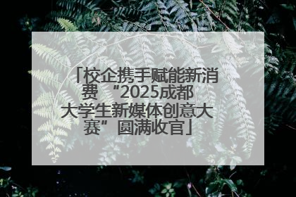 校企携手赋能新消费 “2025成都大学生新媒体创意大赛”圆满收官