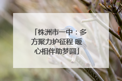 株洲市一中：多方聚力护征程 暖心相伴助梦圆