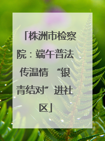 株洲市检察院：端午普法传温情 “银青结对”进社区