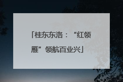 桂东东洛：“红领雁”领航百业兴