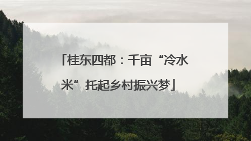 桂东四都：千亩“冷水米”托起乡村振兴梦