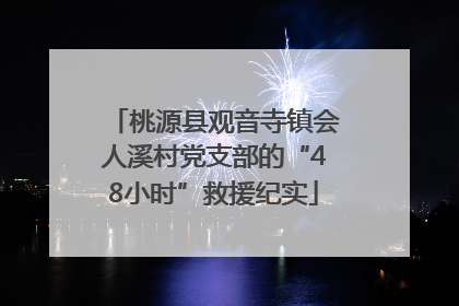 桃源县观音寺镇会人溪村党支部的“48小时”救援纪实
