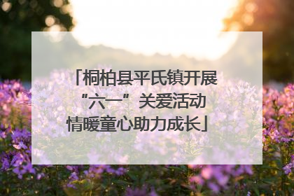 桐柏县平氏镇开展“六一”关爱活动 情暖童心助力成长