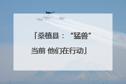 桑植县：“猛兽”当前 他们在行动