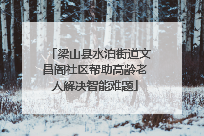 梁山县水泊街道文昌阁社区帮助高龄老人解决智能难题