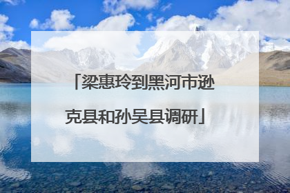 梁惠玲到黑河市逊克县和孙吴县调研