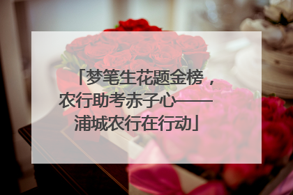 梦笔生花题金榜，农行助考赤子心——浦城农行在行动