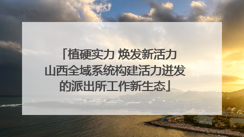 植硬实力 焕发新活力 山西全域系统构建活力迸发的派出所工作新生态