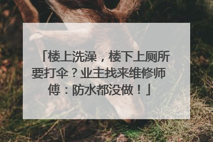 楼上洗澡，楼下上厕所要打伞？业主找来维修师傅：防水都没做！