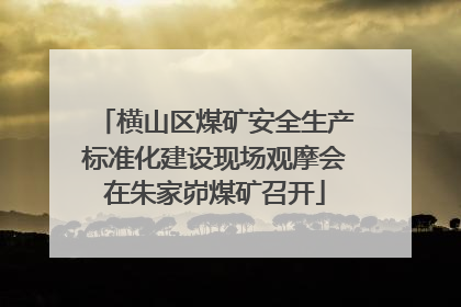 横山区煤矿安全生产标准化建设现场观摩会在朱家峁煤矿召开