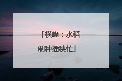 横峰：水稻制种插秧忙