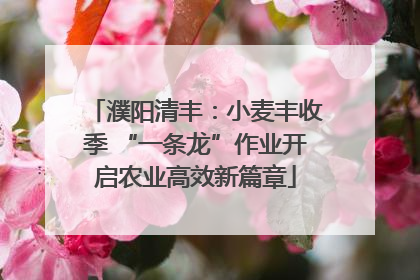 濮阳清丰：小麦丰收季 “一条龙”作业开启农业高效新篇章