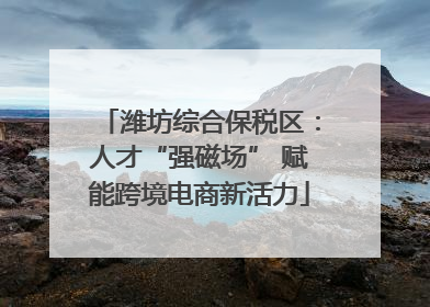 潍坊综合保税区：人才“强磁场” 赋能跨境电商新活力
