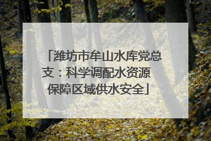 潍坊市牟山水库党总支：科学调配水资源 保障区域供水安全