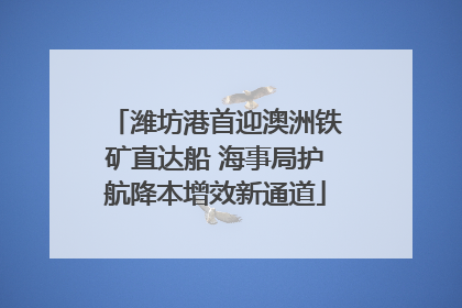 潍坊港首迎澳洲铁矿直达船 海事局护航降本增效新通道