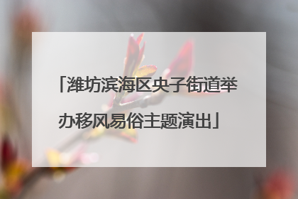 潍坊滨海区央子街道举办移风易俗主题演出