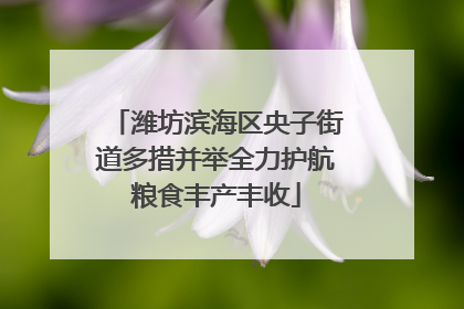 潍坊滨海区央子街道多措并举全力护航粮食丰产丰收