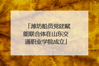 潍坊船员党建赋能联合体在山东交通职业学院成立