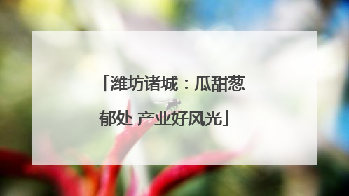 潍坊诸城：瓜甜葱郁处 产业好风光