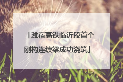 潍宿高铁临沂段首个刚构连续梁成功浇筑