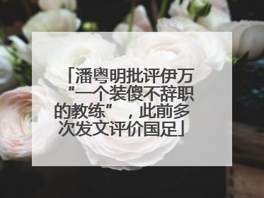 潘粤明批评伊万“一个装傻不辞职的教练”，此前多次发文评价国足