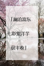 澜沧富东七彩紫洋芋获丰收