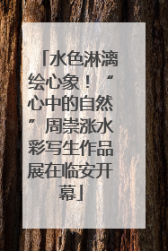 水色淋漓绘心象！“心中的自然”周崇涨水彩写生作品展在临安开幕