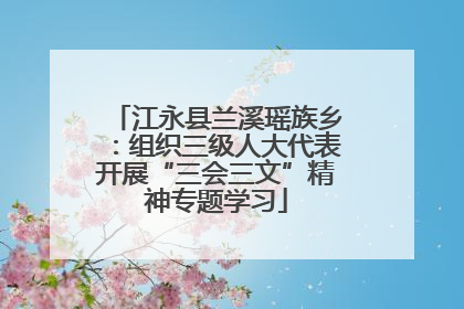 江永县兰溪瑶族乡：组织三级人大代表开展“三会三文”精神专题学习