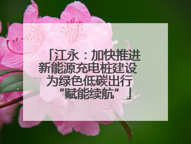 江永：加快推进新能源充电桩建设 为绿色低碳出行“赋能续航”