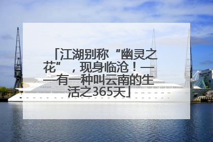 江湖别称“幽灵之花”，现身临沧！——有一种叫云南的生活之365天