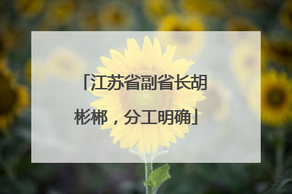 江苏省副省长胡彬郴，分工明确