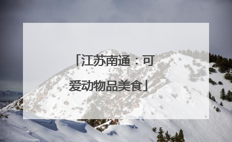 江苏南通：可爱动物品美食