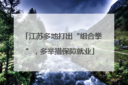 江苏多地打出“组合拳”，多举措保障就业