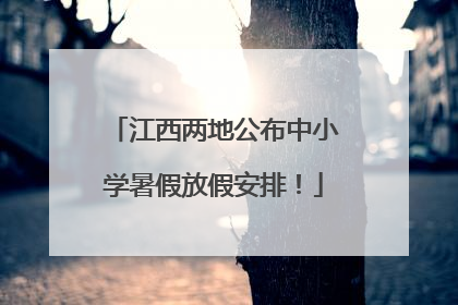 江西两地公布中小学暑假放假安排！