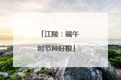 江陵：端午时节种好粮