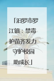 汨罗市罗江镇：禁毒护苗齐发力 守护校园助成长