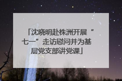 沈晓明赴株洲开展“七一”走访慰问并为基层党支部讲党课