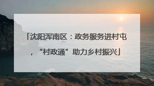 沈阳浑南区：政务服务进村屯，“村政通”助力乡村振兴