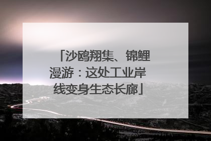 沙鸥翔集、锦鲤漫游：这处工业岸线变身生态长廊