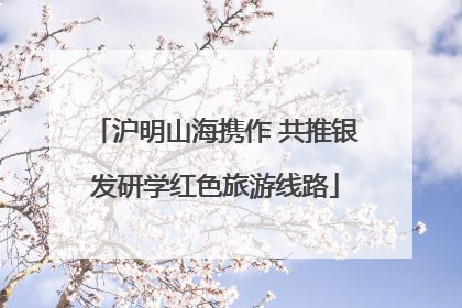 沪明山海携作 共推银发研学红色旅游线路