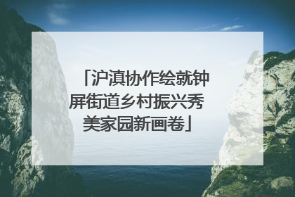 沪滇协作绘就钟屏街道乡村振兴秀美家园新画卷