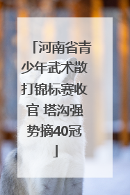 河南省青少年武术散打锦标赛收官 塔沟强势摘40冠