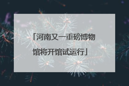 河南又一重磅博物馆将开馆试运行