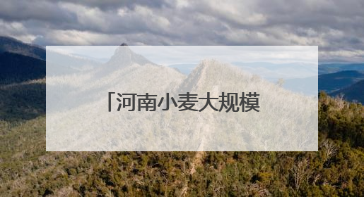 河南小麦大规模机收作业收官 全省麦收基本结束