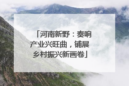 河南新野：奏响产业兴旺曲，铺展乡村振兴新画卷