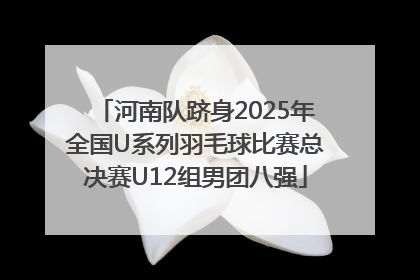 河南队跻身2025年全国U系列羽毛球比赛总决赛U12组男团八强
