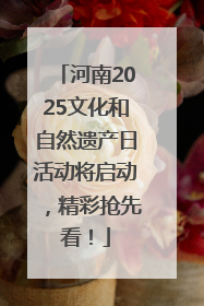 河南2025文化和自然遗产日活动将启动，精彩抢先看！