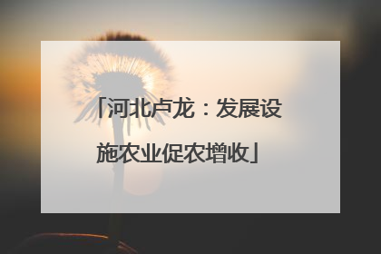河北卢龙：发展设施农业促农增收