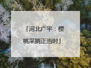 河北广平：樱桃采摘正当时